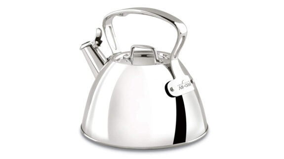 classic stainless stovetop kettle